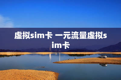 虚拟SIM卡与一元流量 网络技术服务的创新与未来